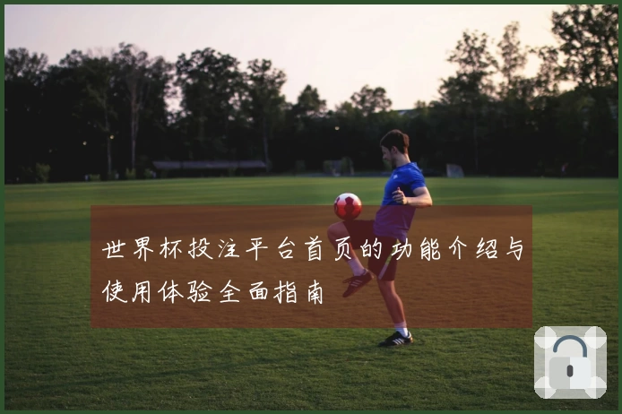 世界杯投注平台首页的功能介绍与使用体验全面指南