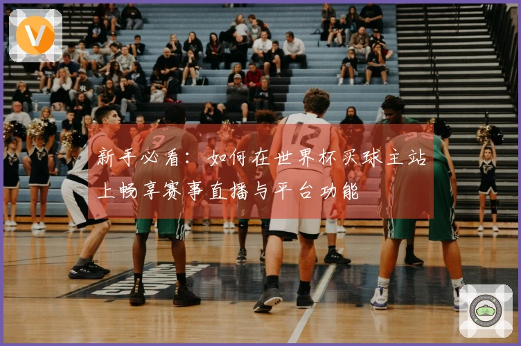 新手必看：如何在世界杯买球主站上畅享赛事直播与平台功能