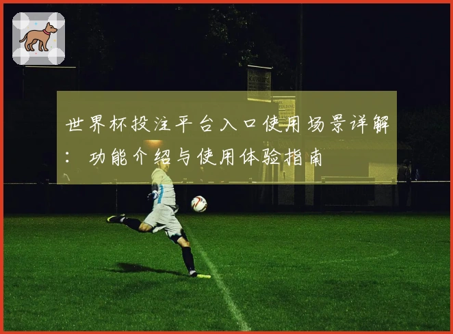 世界杯投注平台入口使用场景详解：功能介绍与使用体验指南