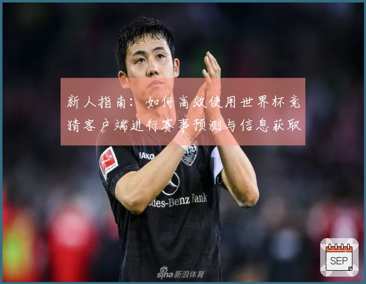 新人指南：如何高效使用世界杯竞猜客户端进行赛事预测与信息获取
