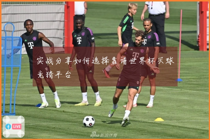 实战分享如何选择靠谱世界杯买球竞猜平台
