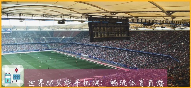 世界杯买球手机端：畅玩体育直播的最佳APP版本体验与功能介绍