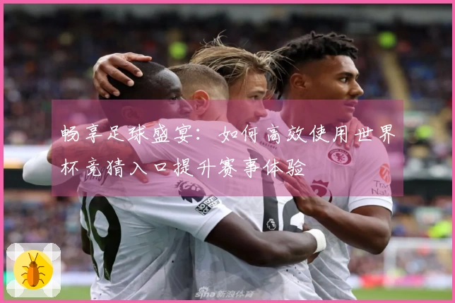 畅享足球盛宴：如何高效使用世界杯竞猜入口提升赛事体验