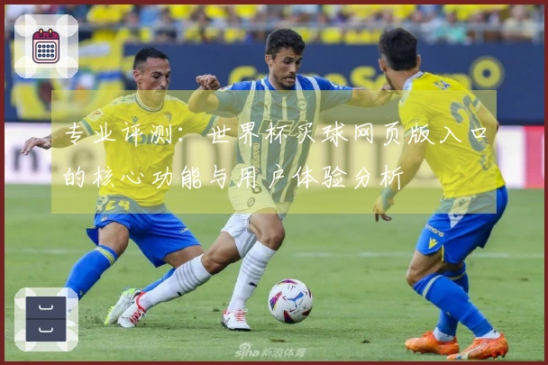 专业评测:世界杯买球网页版入口的核心功能与用户体验分析