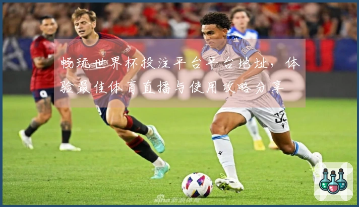 畅玩世界杯投注平台平台地址，体验最佳体育直播与使用攻略分享