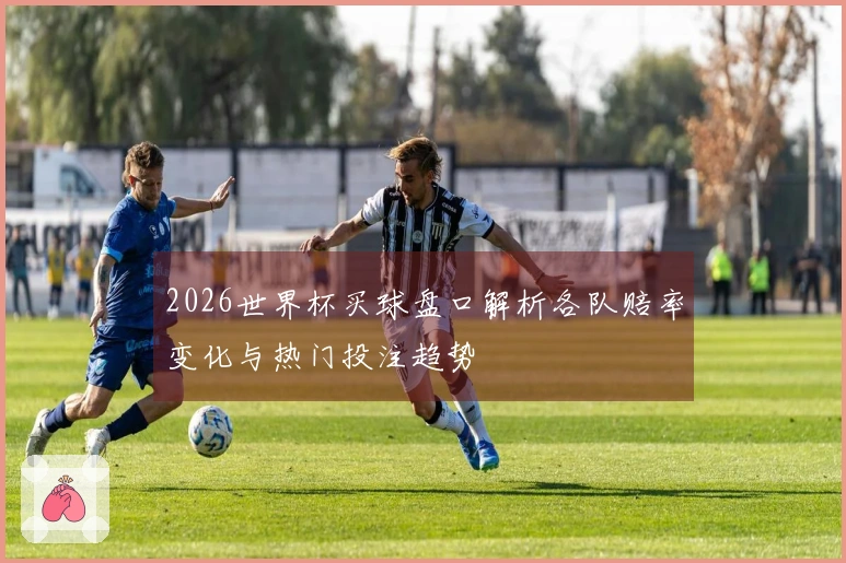 2026世界杯买球盘口解析各队赔率变化与热门投注趋势
