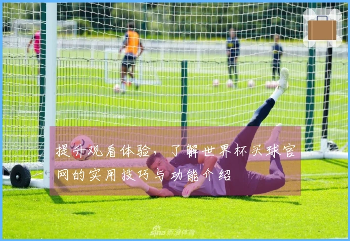 提升观看体验，了解世界杯买球官网的实用技巧与功能介绍