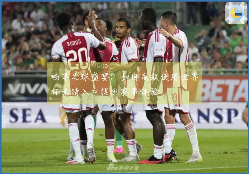 畅享足球盛宴：如何高效使用世界杯竞猜入口提升赛事体验