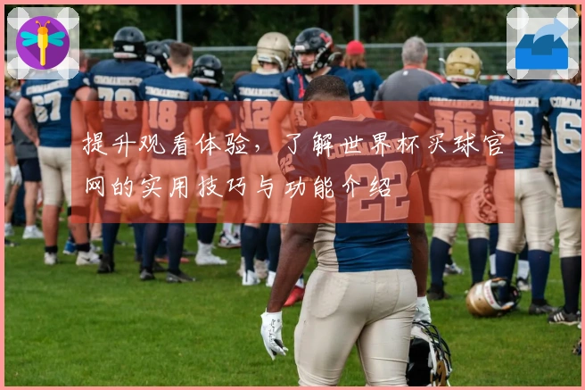 提升观看体验，了解世界杯买球官网的实用技巧与功能介绍