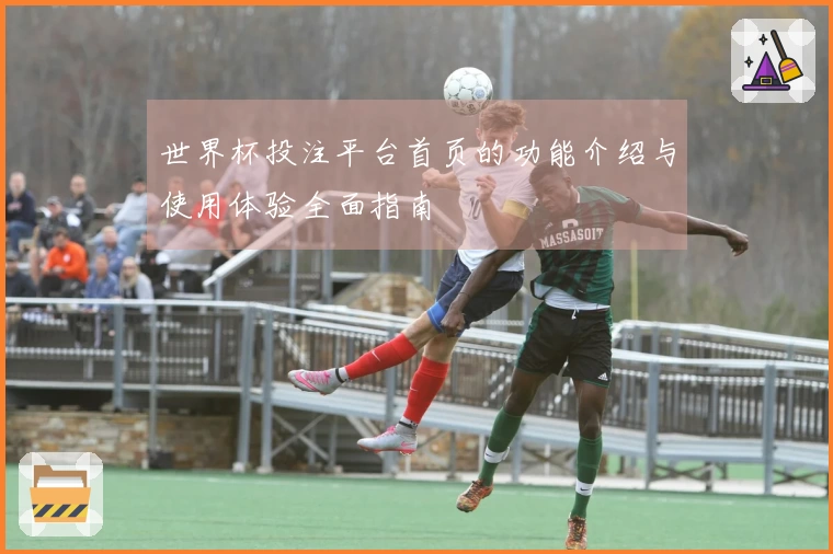 世界杯投注平台首页的功能介绍与使用体验全面指南