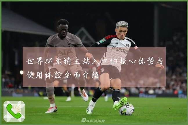 世界杯竞猜主站入口的核心优势与使用体验全面介绍