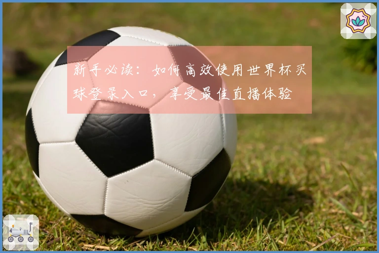 新手必读：如何高效使用世界杯买球登录入口，享受最佳直播体验