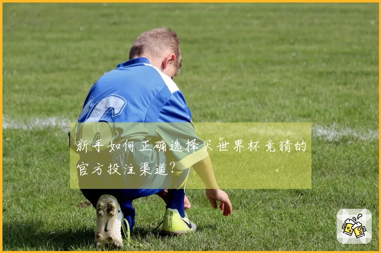 新手如何正确选择买世界杯竞猜的官方投注渠道？
