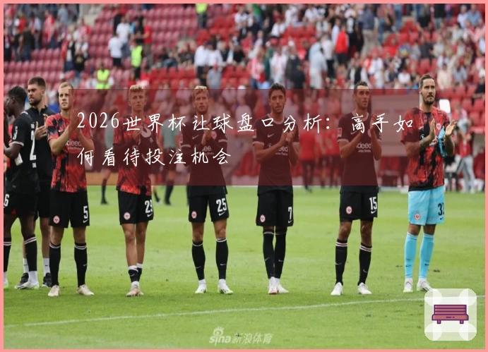 2026世界杯让球盘口分析:高手如何看待投注机会